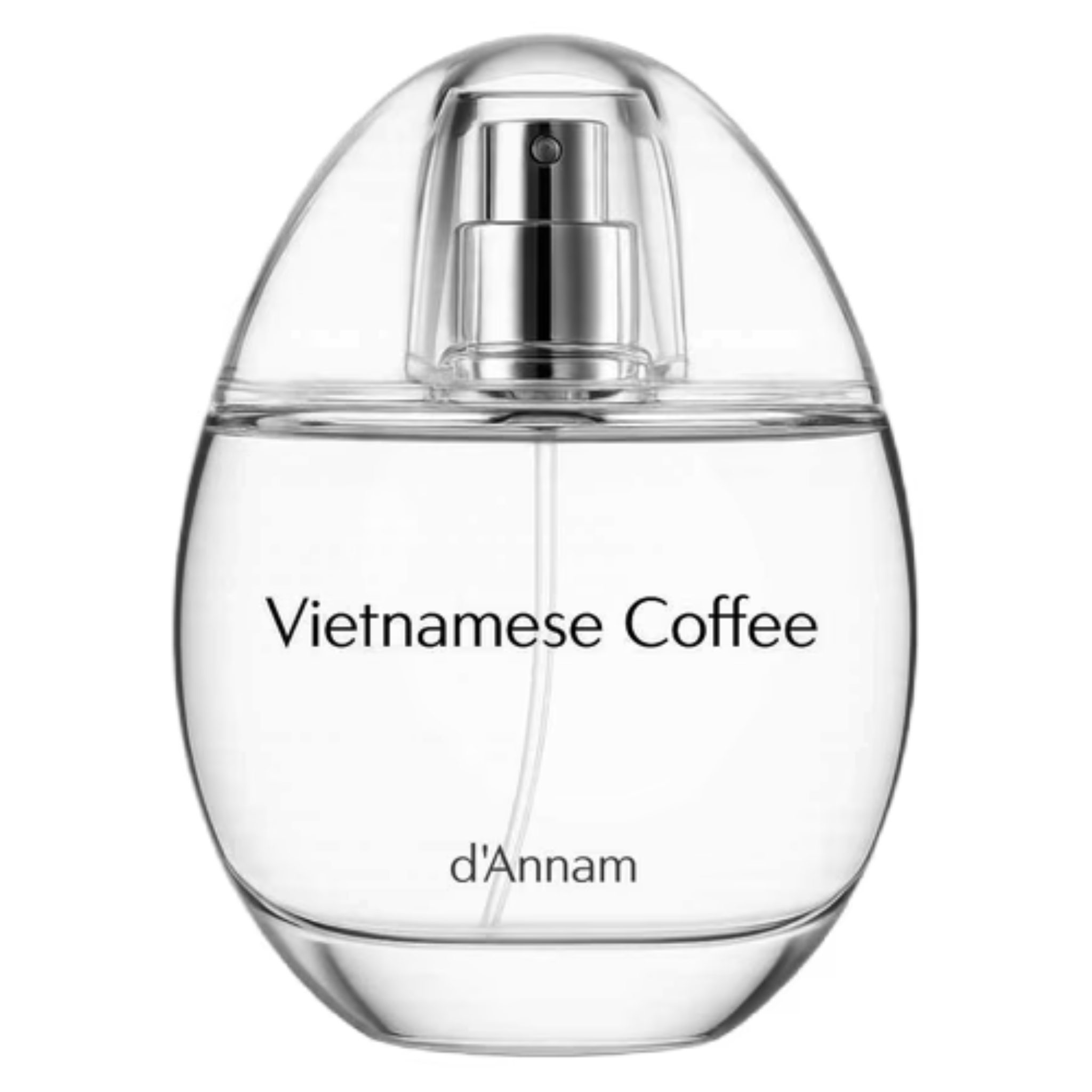 D'Annam Vietnamese coffee sample bag with branding, showcasing the packaging and label of the coffee product.
